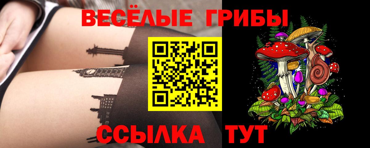 Псилоцибиновые грибы мицелий Десногорск