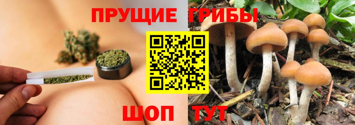 Десногорск  Псилоцибиновые грибы GOLDEN TEACHER  Псилоцибиновые грибы GOLDEN TEACHER  Вход с VPN 